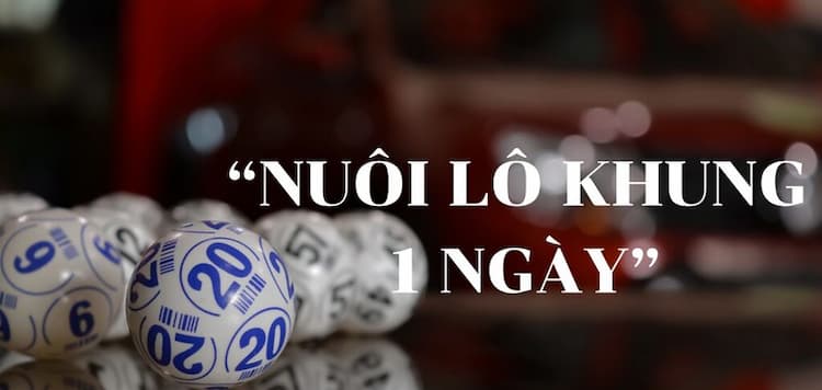 Nuôi lô khung